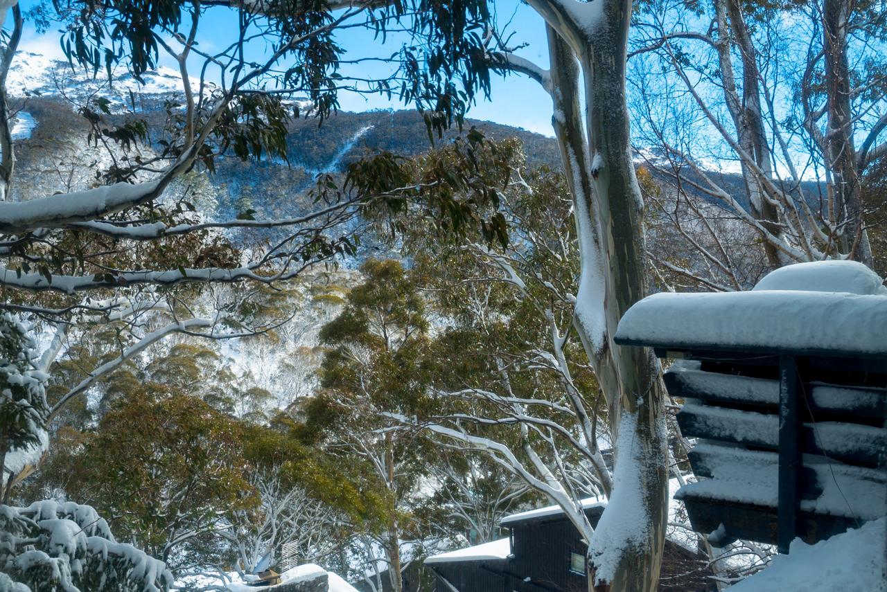 Pure Chalet Thredbo Eksteriør billede