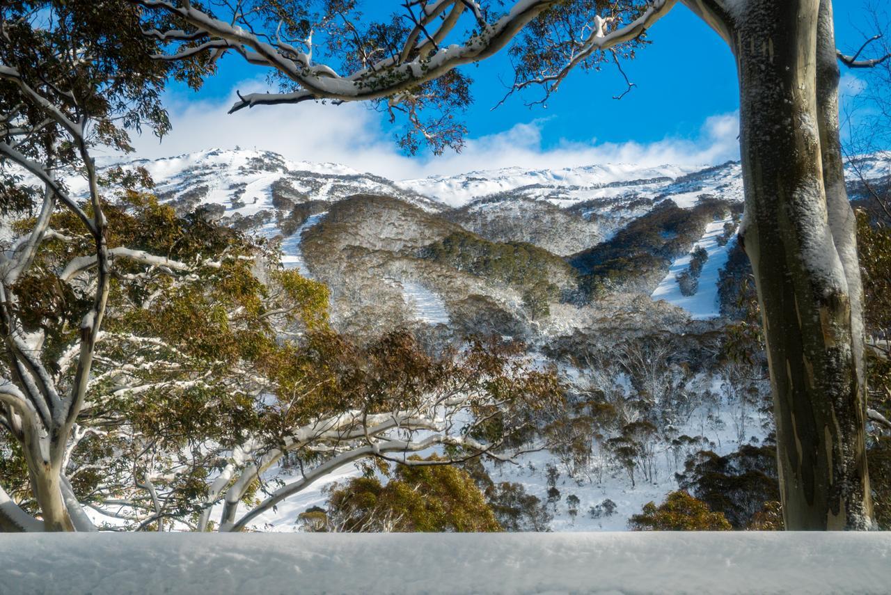 Pure Chalet Thredbo Eksteriør billede