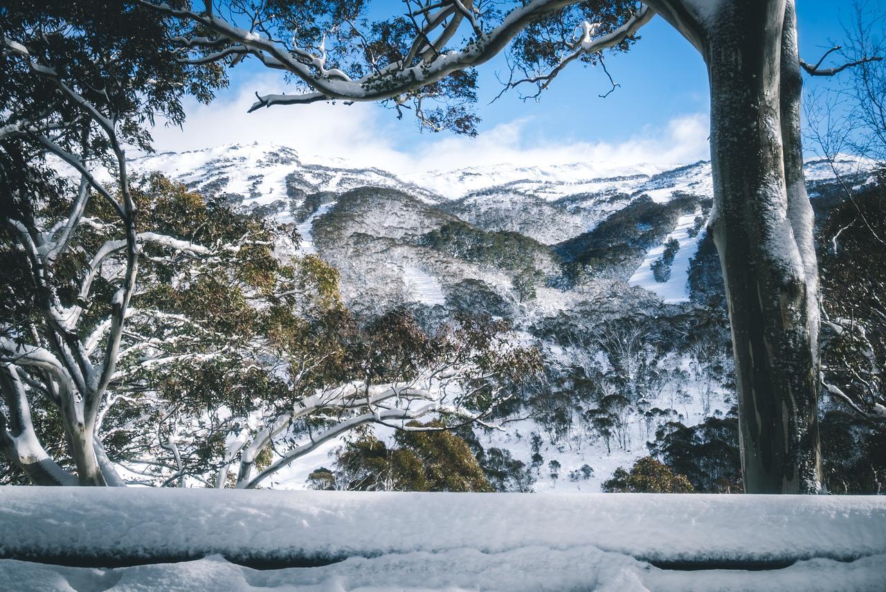 Pure Chalet Thredbo Eksteriør billede