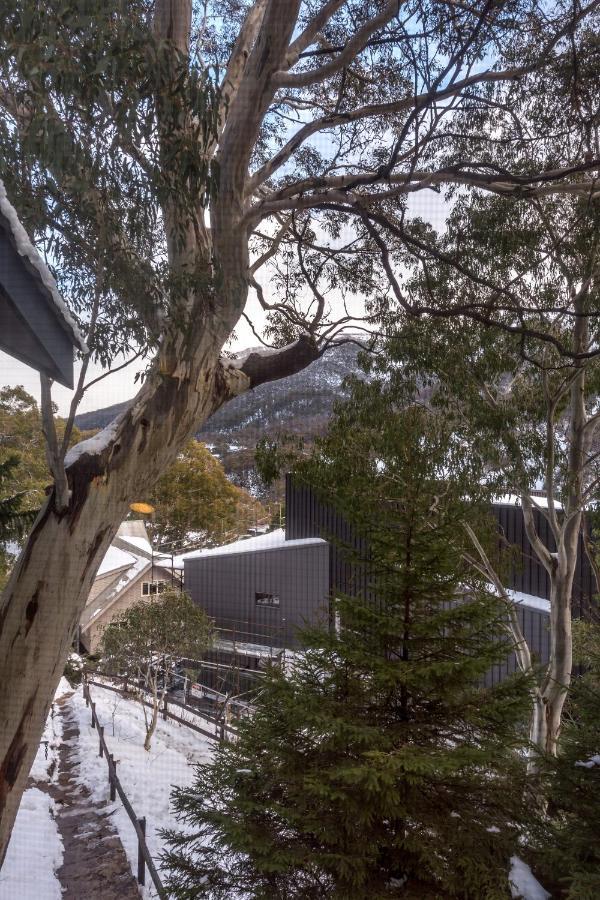 Pure Chalet Thredbo Eksteriør billede